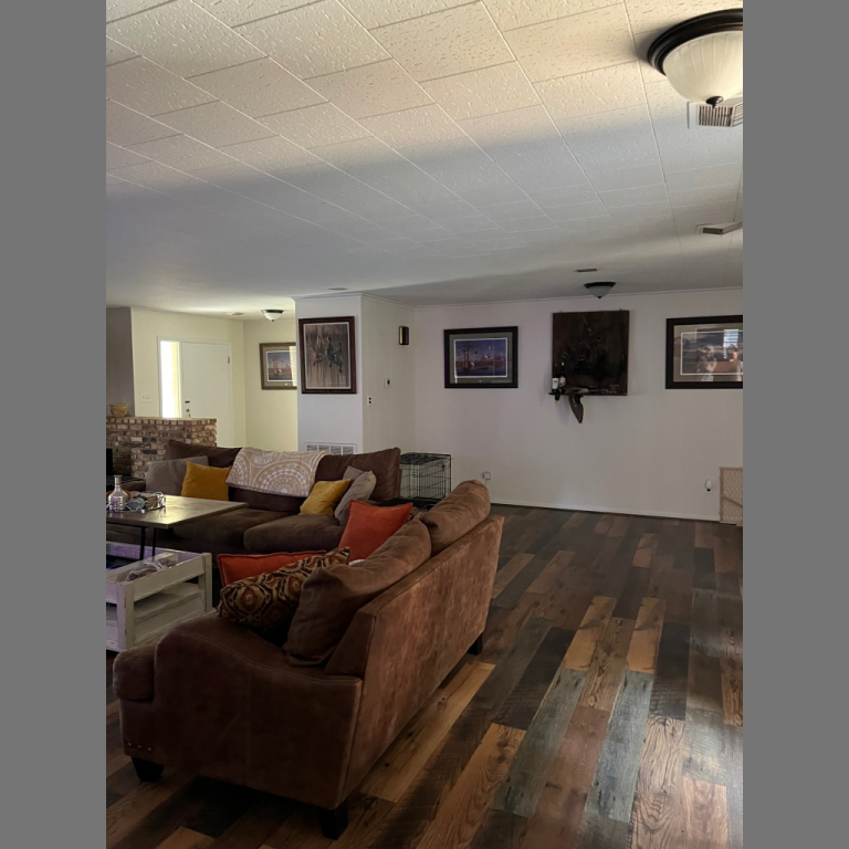 31_cassidy 31_cassidy