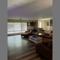 31_cassidy2 31_cassidy2